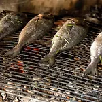 Tatil Evi Pet Friendly In With Sauna
